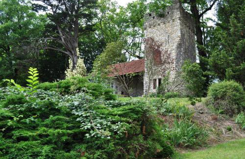 Château Logis de Roche - Foto 33