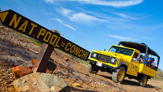 Tour in fuoristrada e piscina naturale di Aruba - Mezza Giornata - Foto 4