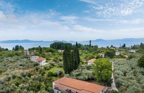 Vergonis Studios - Photo 20