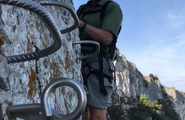 Les Campsis - Foto 19