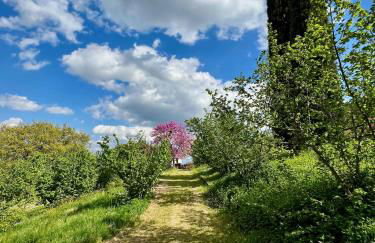 Agriboutique L'Uliveto Magico - Foto 26