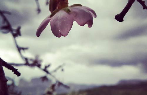 Les Valletes - Foto 35