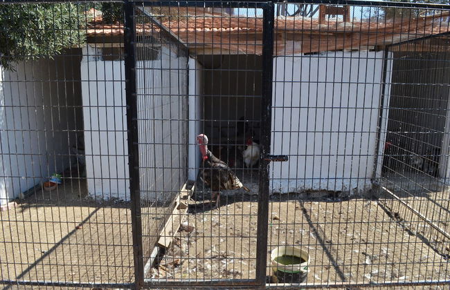 Zeytin Apart Otel & Aquapark - Photo 26