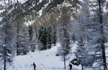 Ale's House - Foto 14