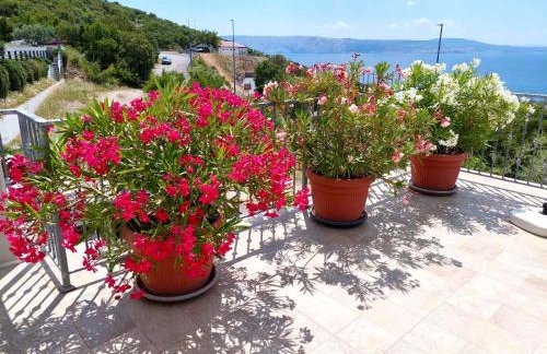 Villa Marijana - Foto 19