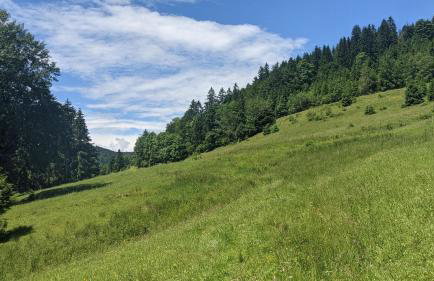 Ferienwohnung Sonnen Strahl - Photo 14