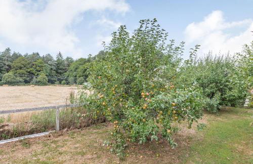 Ralston Bothy - Foto 35