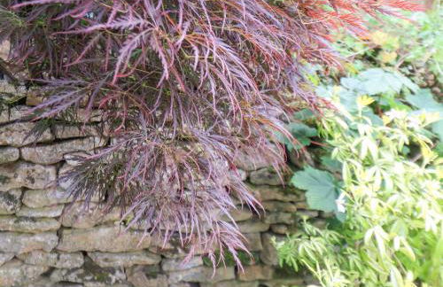 The Nail Shed - Foto 37