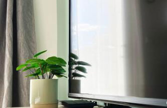 Charmante Maisonnette au calme / Jardin privatif - Foto 9