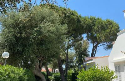 Gli Ulivi Rosamarina Ostuni - Foto 54