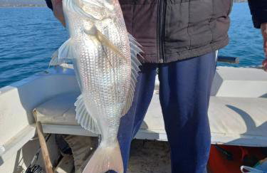 Homey Family ArtAki - Foto 45