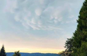 Watra apartamenty - Foto 50