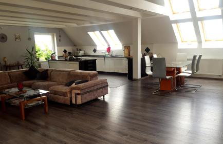 Apartamenty Holiday Slaw jacuzzi bilard - Foto 50