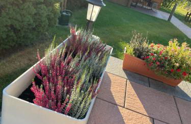 Ferienhaus am Birkenwaeldchen - Motzener See 150m - Foto 14