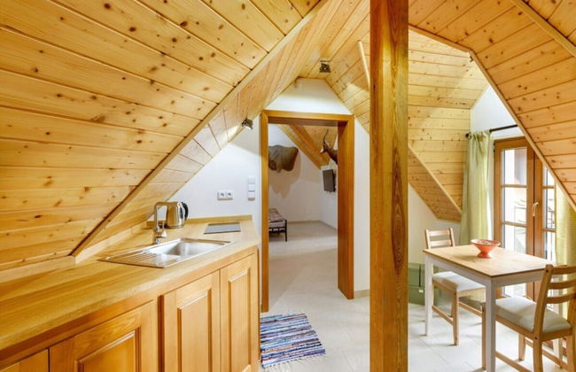 Orlik Jvnl102 Comfortable Holiday Residence - Foto 2