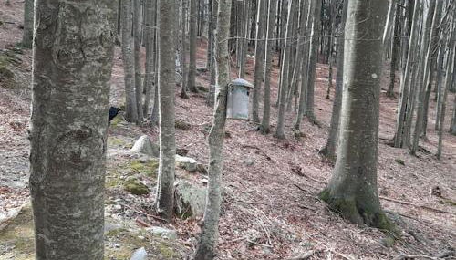 Rilassati al Corno alle Scale - Foto 3