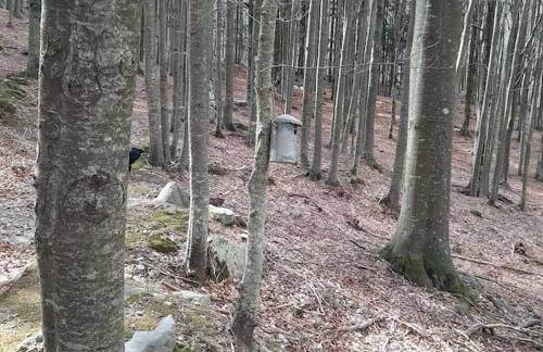 Rilassati al Corno alle Scale - Foto 3