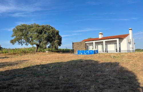 Monte da Lebrinha - Foto 13