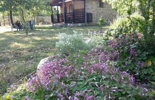 Cabañas Vallecino - Foto 62