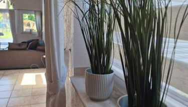 Stilvolle EG-Wohnung - Foto 4