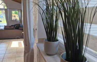 Stilvolle EG-Wohnung - Foto 4