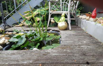 Ferienwohnung Zellner - Foto 35