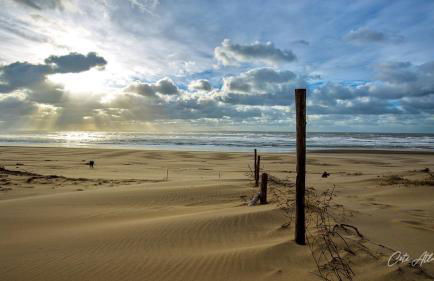 Mobil Home Moderne de 40m2 TOUT CONFORT Camping SIBLU Les CHARMETTES 785 La Palmyre Les Mathes - Foto 25