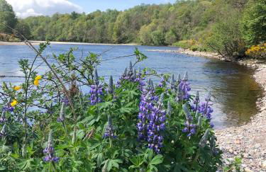 Glenfeshie Hostel - Foto 17