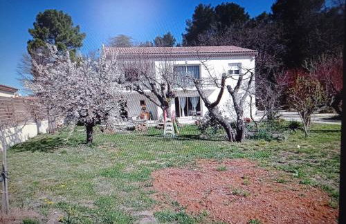 LA MAISON DE PAPOU La Vigne A NANS LES PINS 83860 - Photo 5