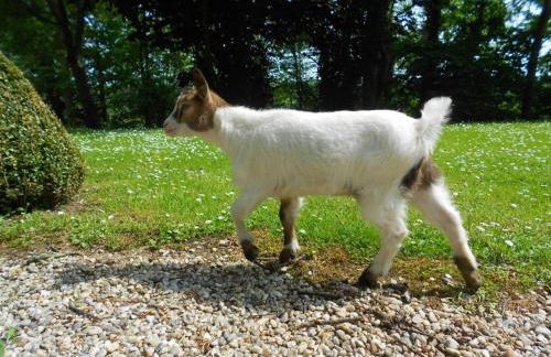 Gîte Insolite Les Tonneaux Sa vue Magnifique et Panoramique - Foto 33