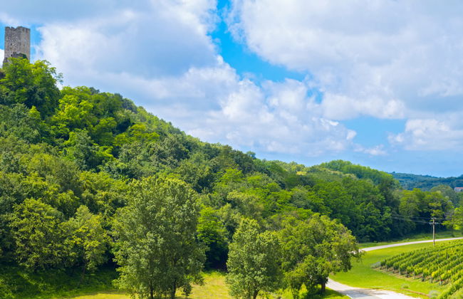 Studio Gallery Bura - Foto 48