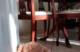 The Parkview House Wakefield - Foto 13