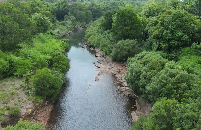 Indira Farms - Foto 23