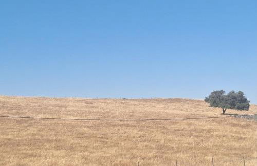 ALDEIA DOS ORVALHOS - VILLAGE By MAYORAL - Foto 35