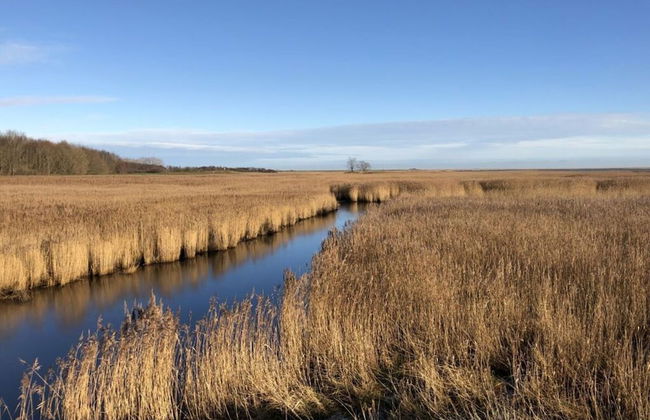 Huus Schippe "collund" - Foto 34