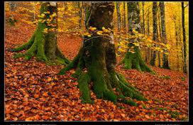 Casa Batit - Foto 29