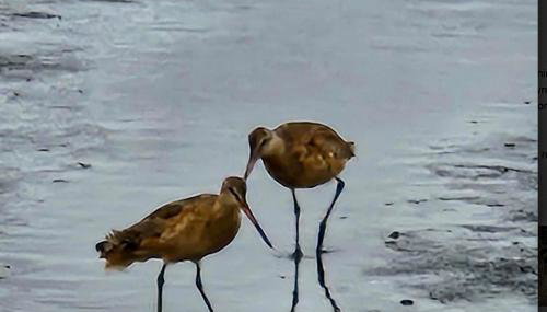 Rocks Cabin - Foto 4