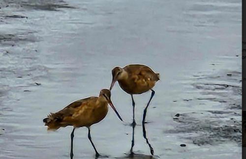 Rocks Cabin - Foto 4