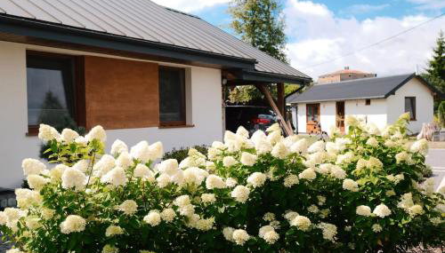 Oaza Relaksu Wigry -domek na wyłączność - Foto 2, Garden view