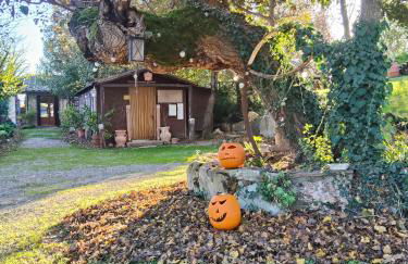 Agriturismo Grecinella - Foto 82