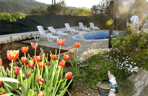 Family friendly house with a swimming pool Kostanje, Omis - 14176 - Photo 9