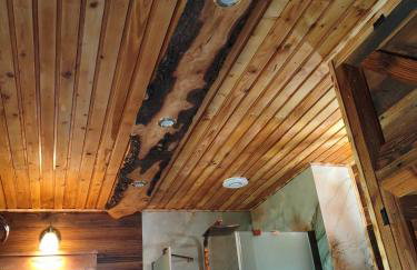 Dom na skraju Puszczy Białowieskiej - Foto 44