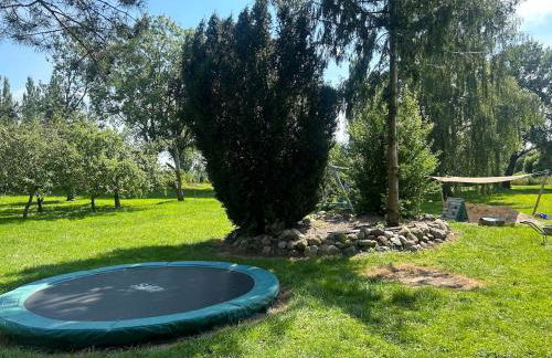 Landhausvilla Gut Vogelsang - Foto 24