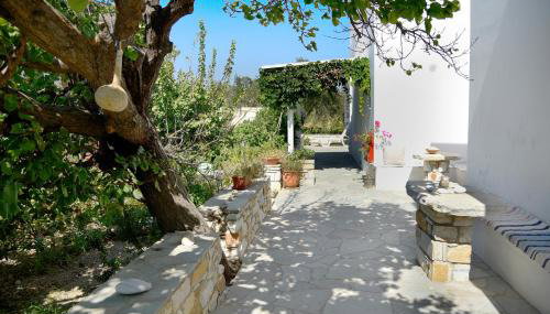 Flora & Agelos Studios - Paros - Foto 5, Garden