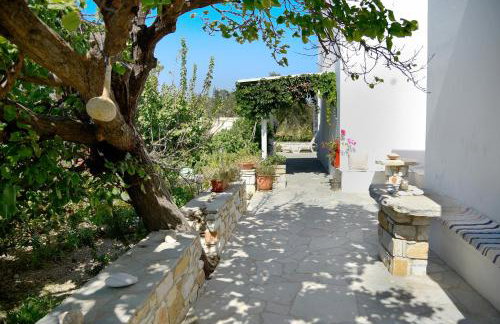 Flora & Agelos Studios - Paros - Foto 5