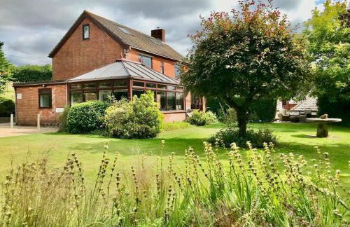 Arniss New Forest - Photo 1