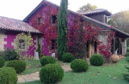 Apartamentos Arcadia - Foto 18