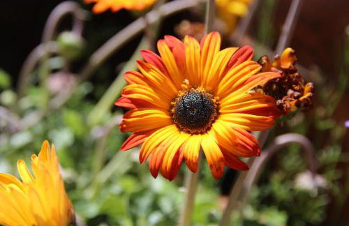 Bio Quinta do Pantano, Agro Turismo - Foto 43