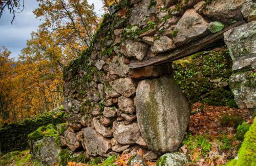 Picaza del Jerte - Foto 26