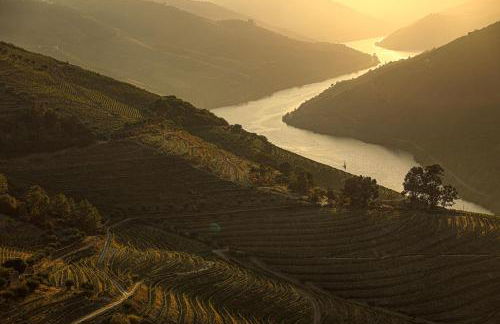 Casa da Barca - Foto 32